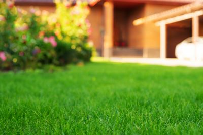 Yard Regrading